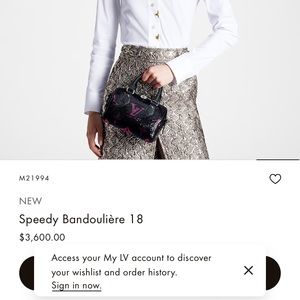 Brand new authentic Louis Vuitton handbag